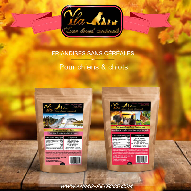 friandise-sans-cereale-ni-gluten-pour-chien